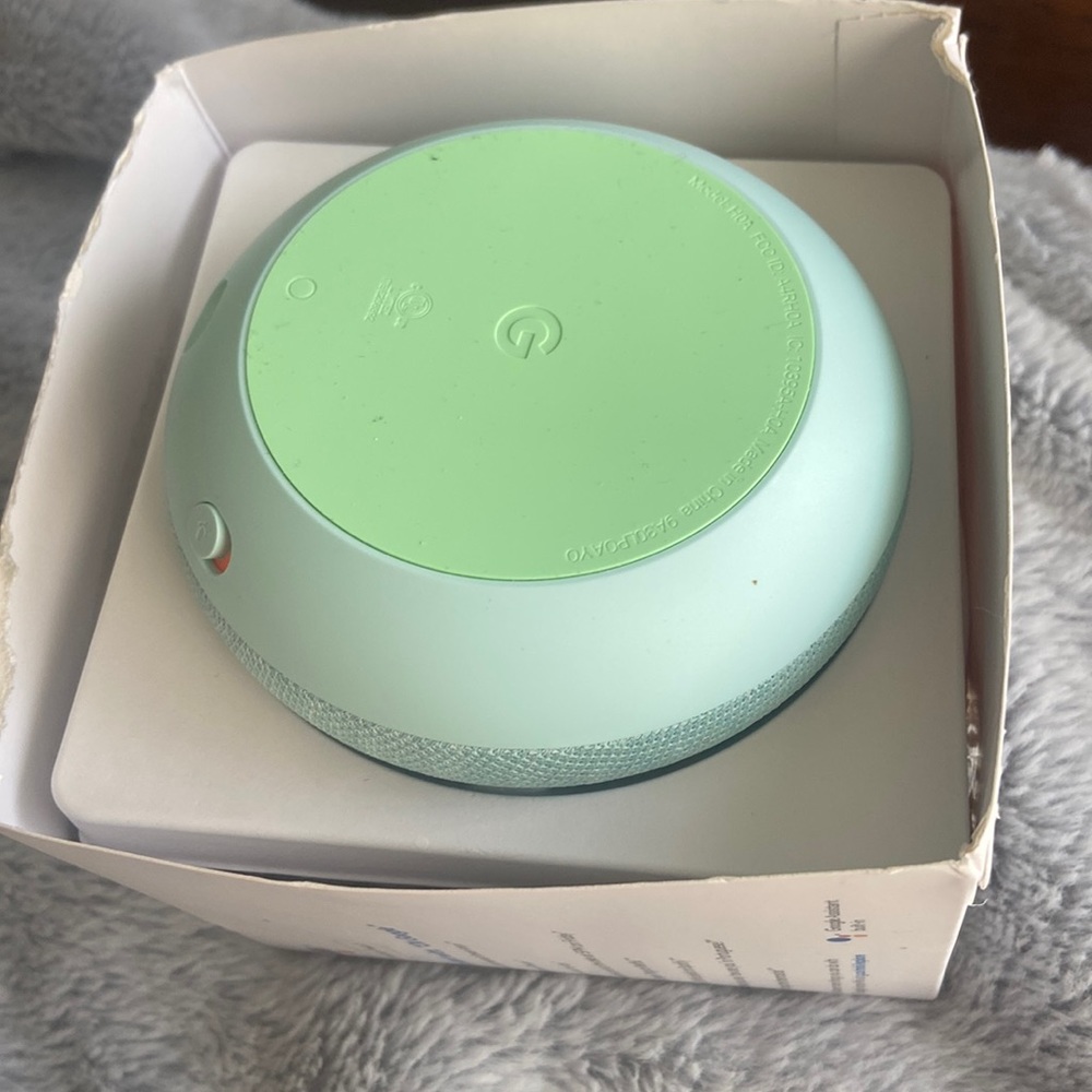 Google home mini